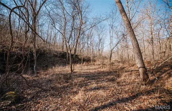 $212,000 | 46.53-ac Tbd 46.53-ac Tbd Highway, Versailles, MO 65084