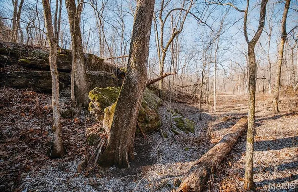 $212,000 | 46.53-ac Tbd 46.53-ac Tbd Highway, Versailles, MO 65084