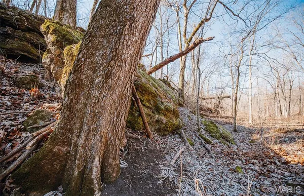 $212,000 | 46.53-ac Tbd 46.53-ac Tbd Highway, Versailles, MO 65084