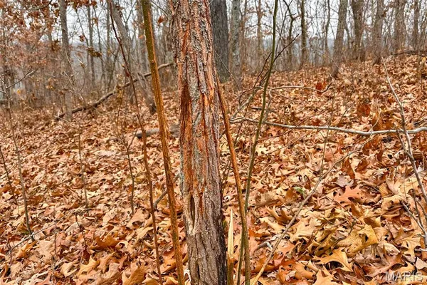 $212,000 | 46.53-ac Tbd 46.53-ac Tbd Highway, Versailles, MO 65084