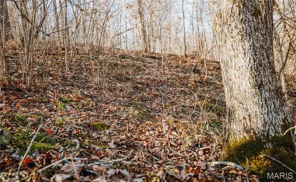 $212,000 | 46.53-ac Tbd 46.53-ac Tbd Highway, Versailles, MO 65084