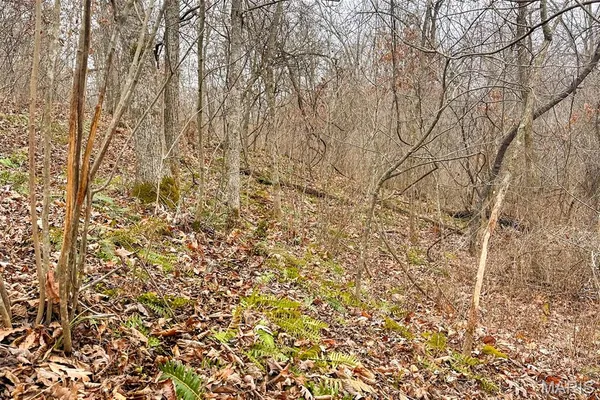 $212,000 | 46.53-ac Tbd 46.53-ac Tbd Highway, Versailles, MO 65084