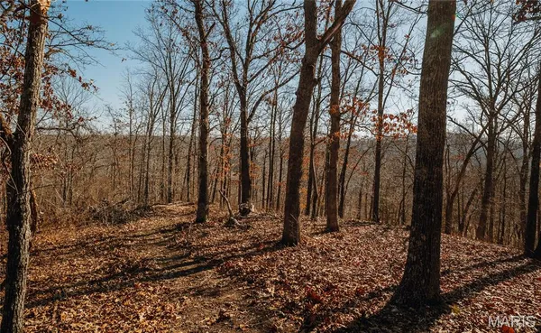 $212,000 | 46.53-ac Tbd 46.53-ac Tbd Highway, Versailles, MO 65084