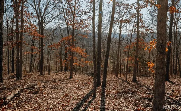 $212,000 | 46.53-ac Tbd 46.53-ac Tbd Highway, Versailles, MO 65084