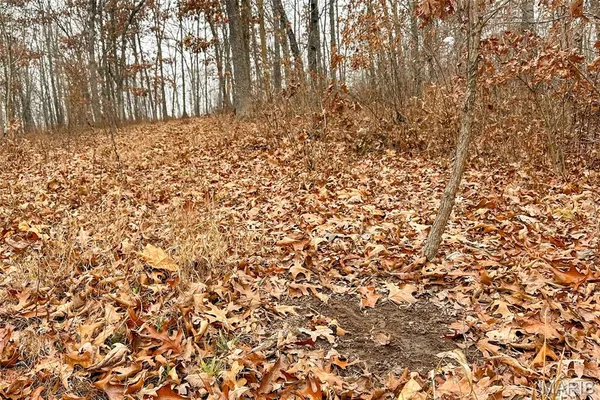 $212,000 | 46.53-ac Tbd 46.53-ac Tbd Highway, Versailles, MO 65084