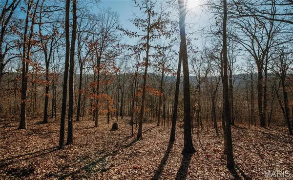 $212,000 | 46.53-ac Tbd 46.53-ac Tbd Highway, Versailles, MO 65084