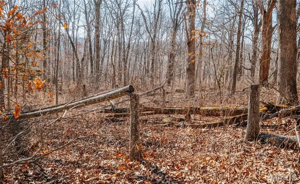 $212,000 | 46.53-ac Tbd 46.53-ac Tbd Highway, Versailles, MO 65084