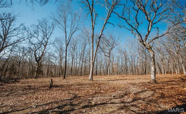 $212,000 | 46.53-ac Tbd 46.53-ac Tbd Highway, Versailles, MO 65084