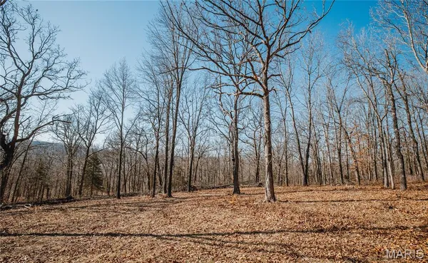 $212,000 | 46.53-ac Tbd 46.53-ac Tbd Highway, Versailles, MO 65084