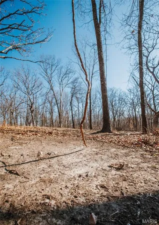 $212,000 | 46.53-ac Tbd 46.53-ac Tbd Highway, Versailles, MO 65084