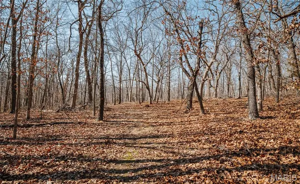 $212,000 | 46.53-ac Tbd 46.53-ac Tbd Highway, Versailles, MO 65084
