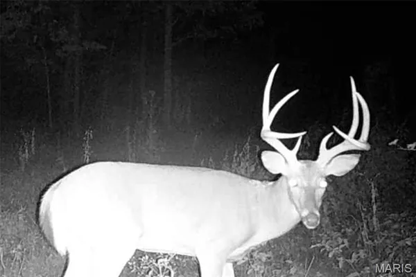 $212,000 | 46.53-ac Tbd 46.53-ac Tbd Highway, Versailles, MO 65084