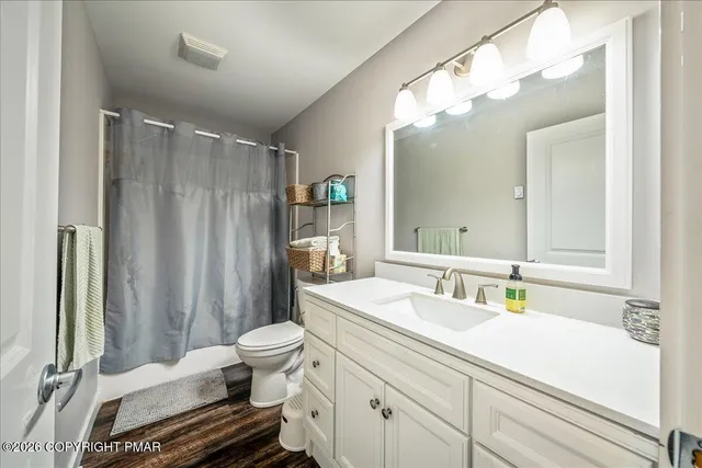 a bathroom with a sink a toilet a mirror and shower