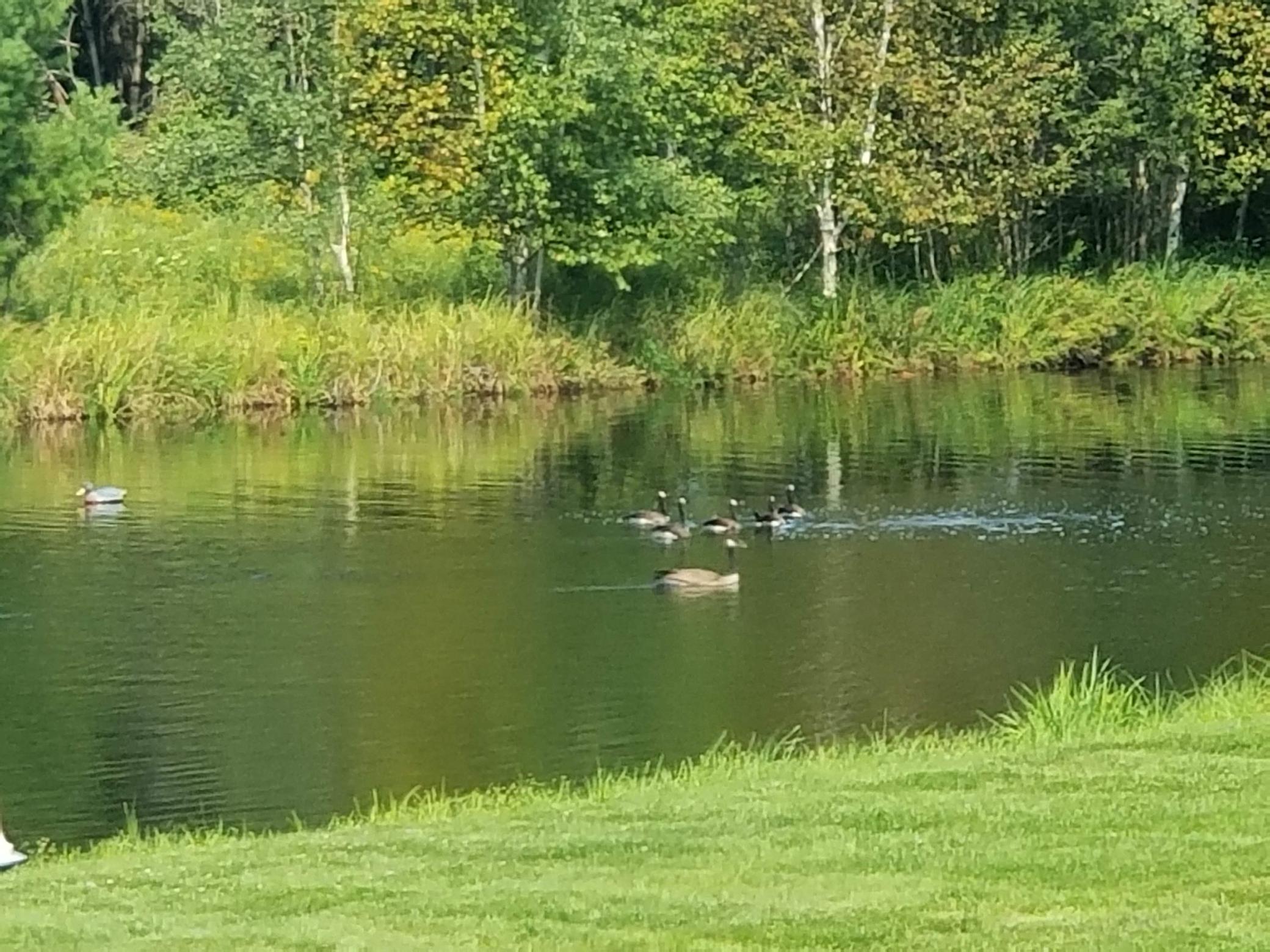 Na County Rd O Bruce, WI 54819 - Photo 39 of 50