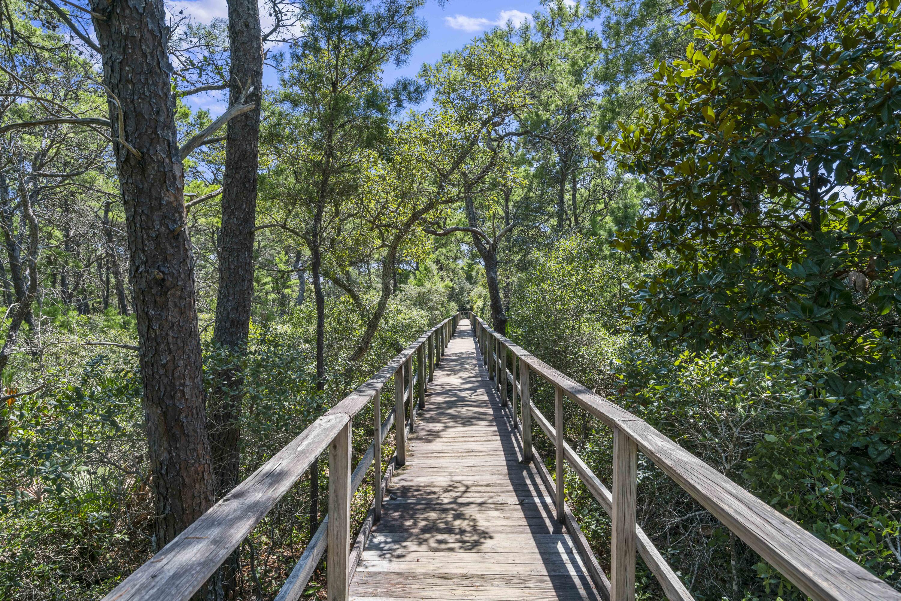 293 Morgans Trail Santa Rosa Beach, FL 32459 - Photo 41 of 42 Gallery Image 41