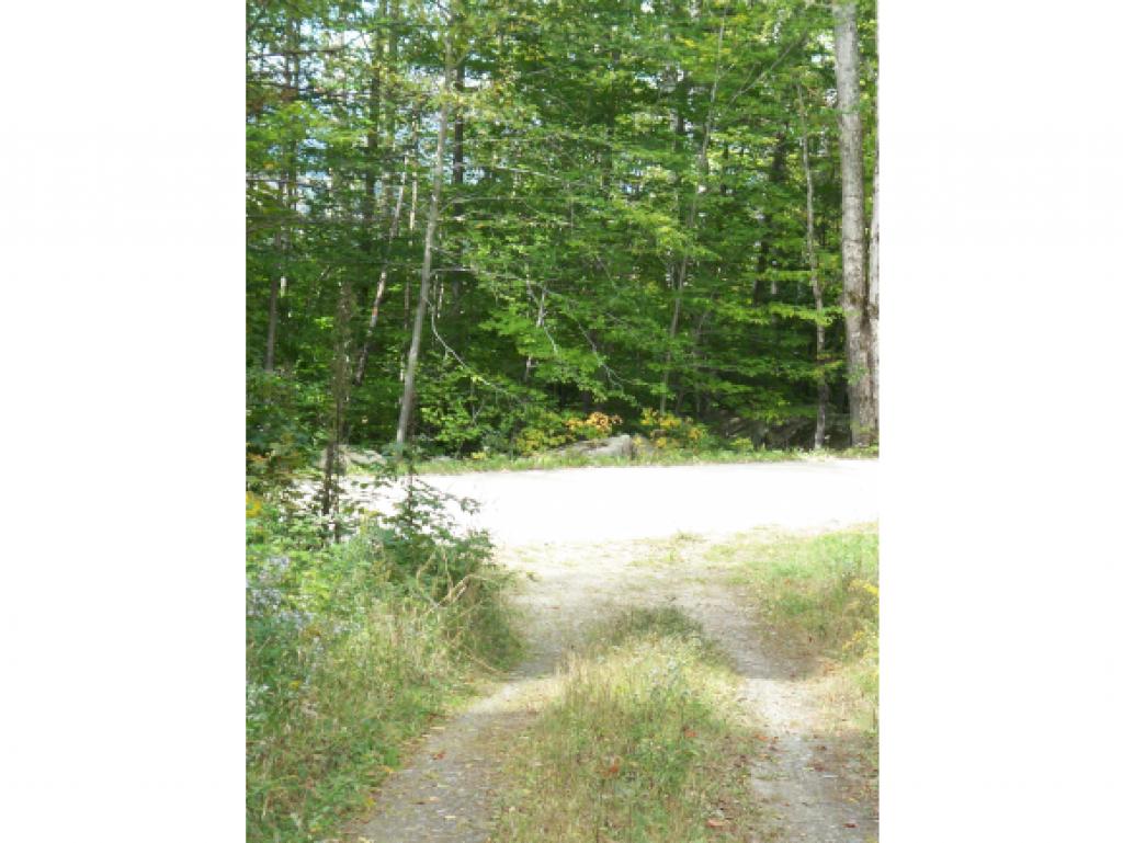 0 Dale Road Weston, VT 05161 - Photo 16 of 18