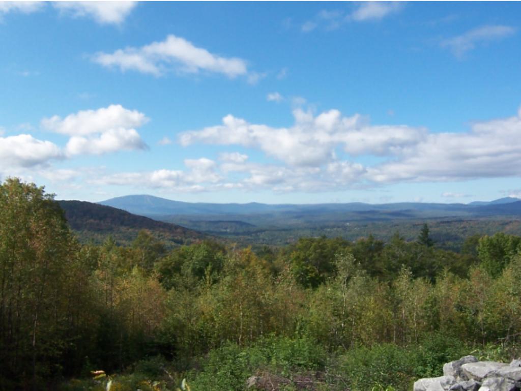 0 Dale Road Weston, VT 05161 - Photo 4 of 18
