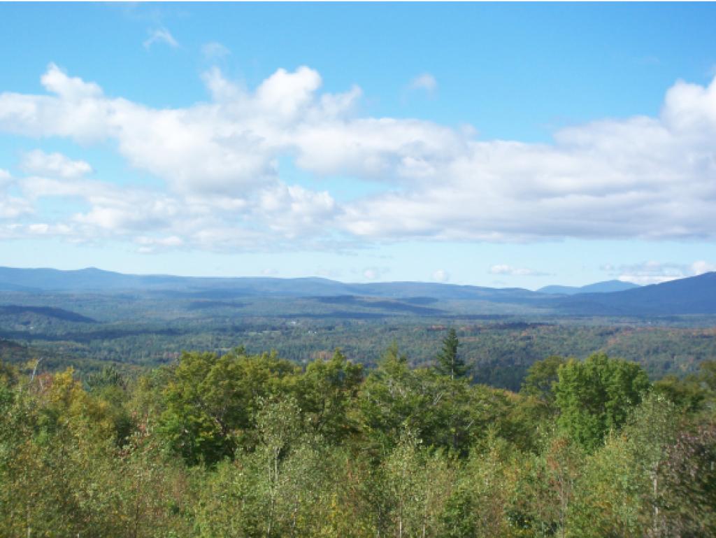 0 Dale Road Weston, VT 05161 - Photo 5 of 18