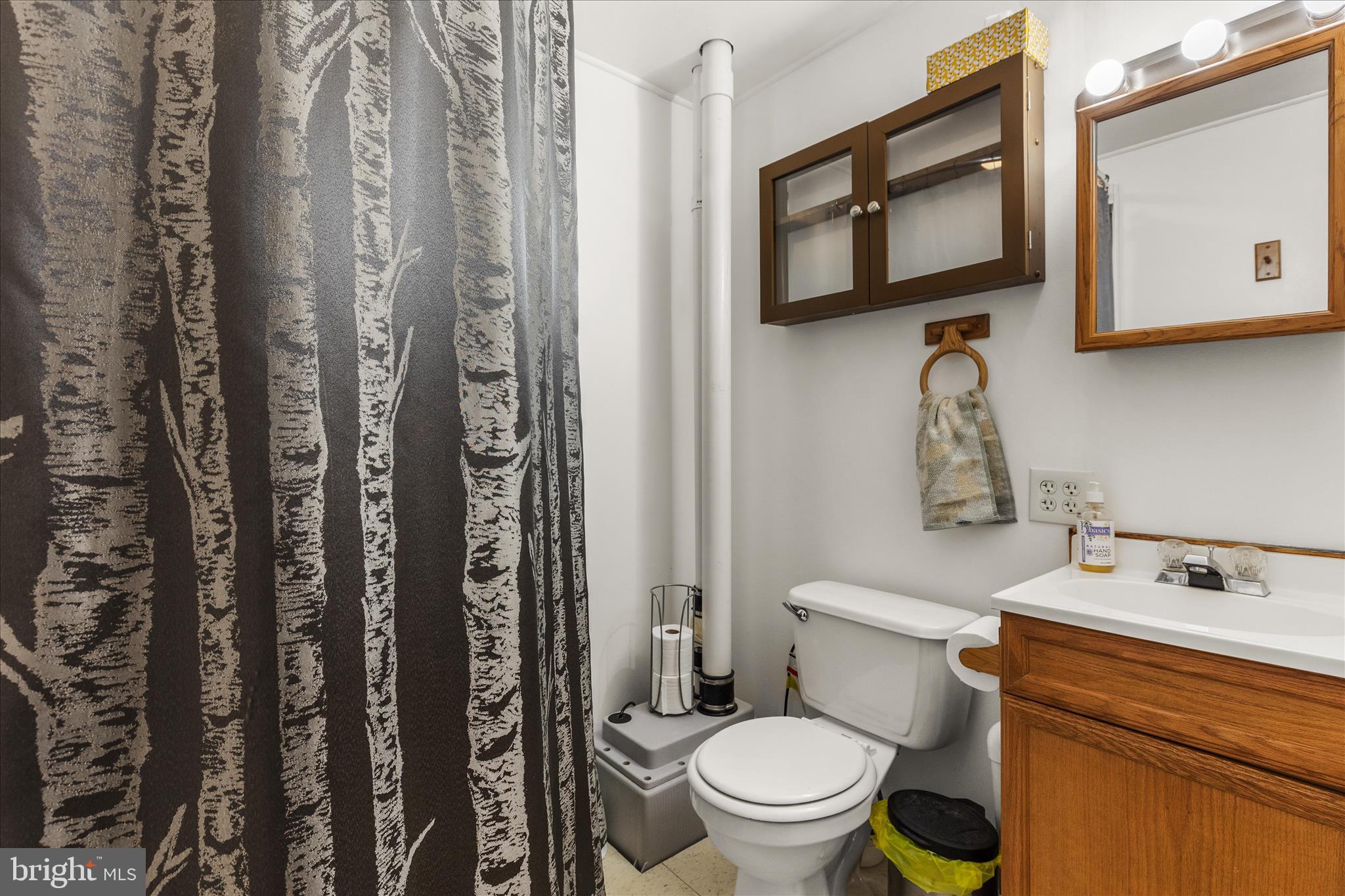 834 Richmond Road Wrightsville, PA 17368 - Photo 32 of 49 Lower level bathroom with shower