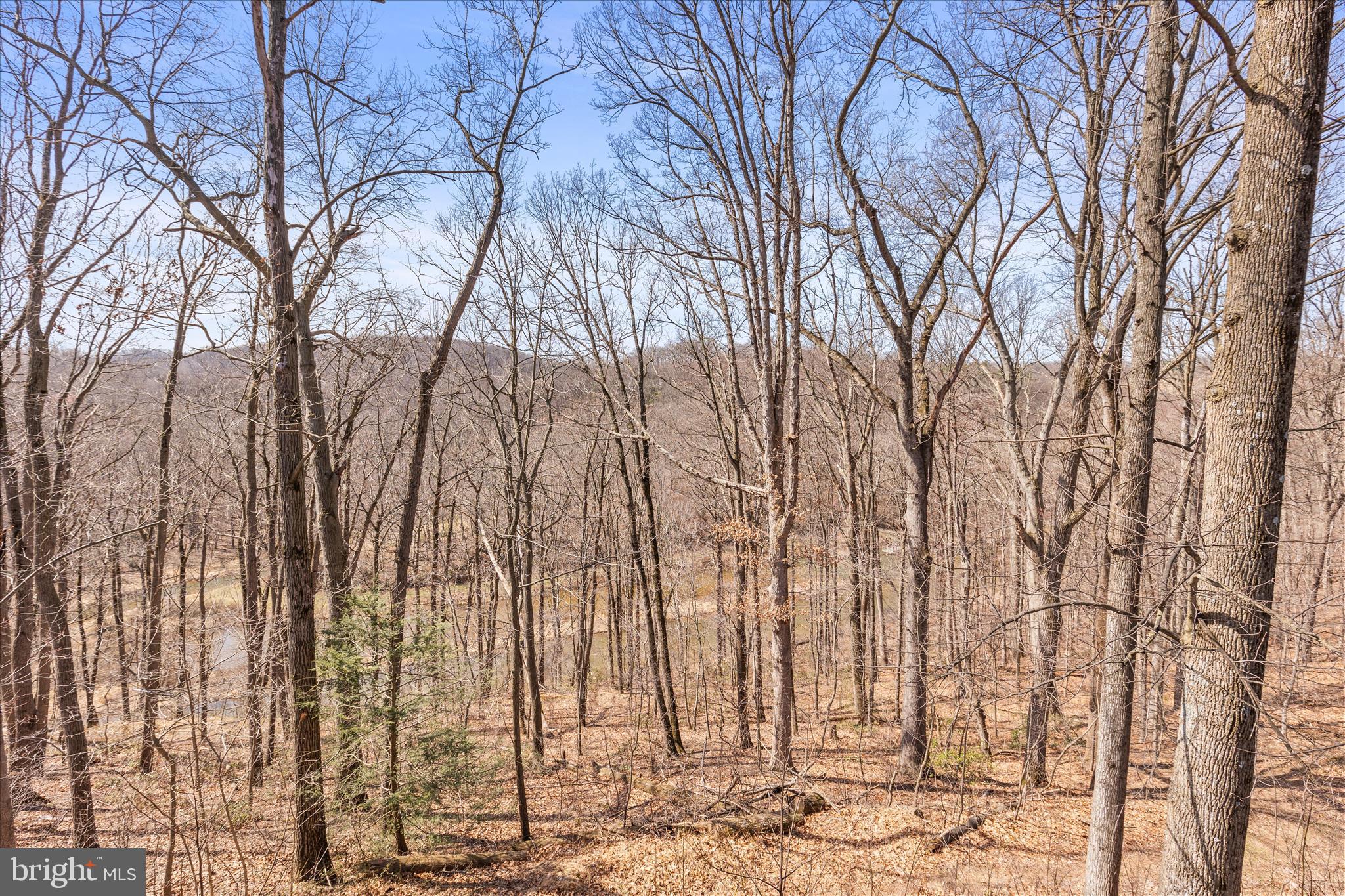 834 Richmond Road Wrightsville, PA 17368 - Photo 37 of 49 View from lower level deck
