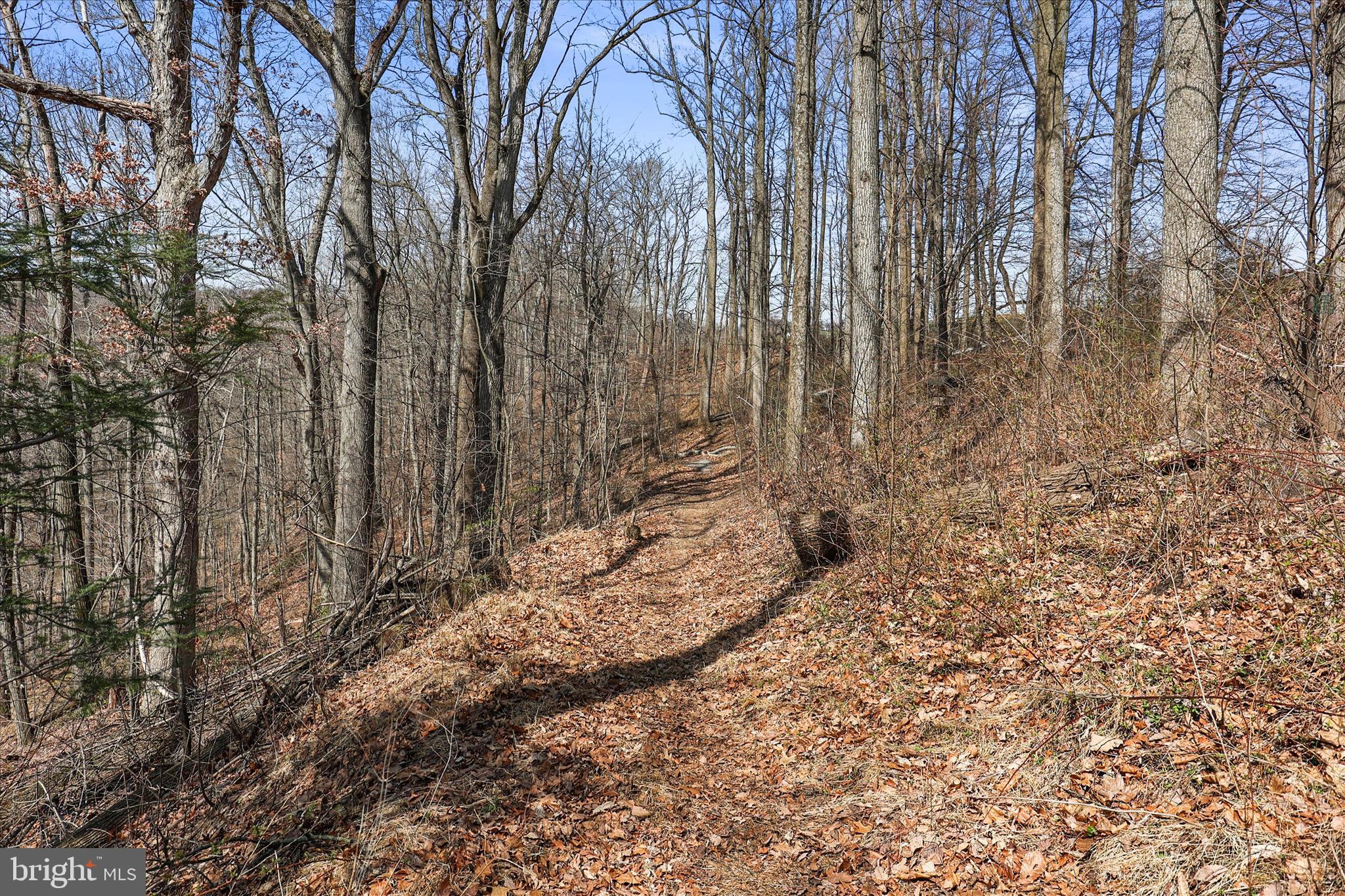 834 Richmond Road Wrightsville, PA 17368 - Photo 43 of 49