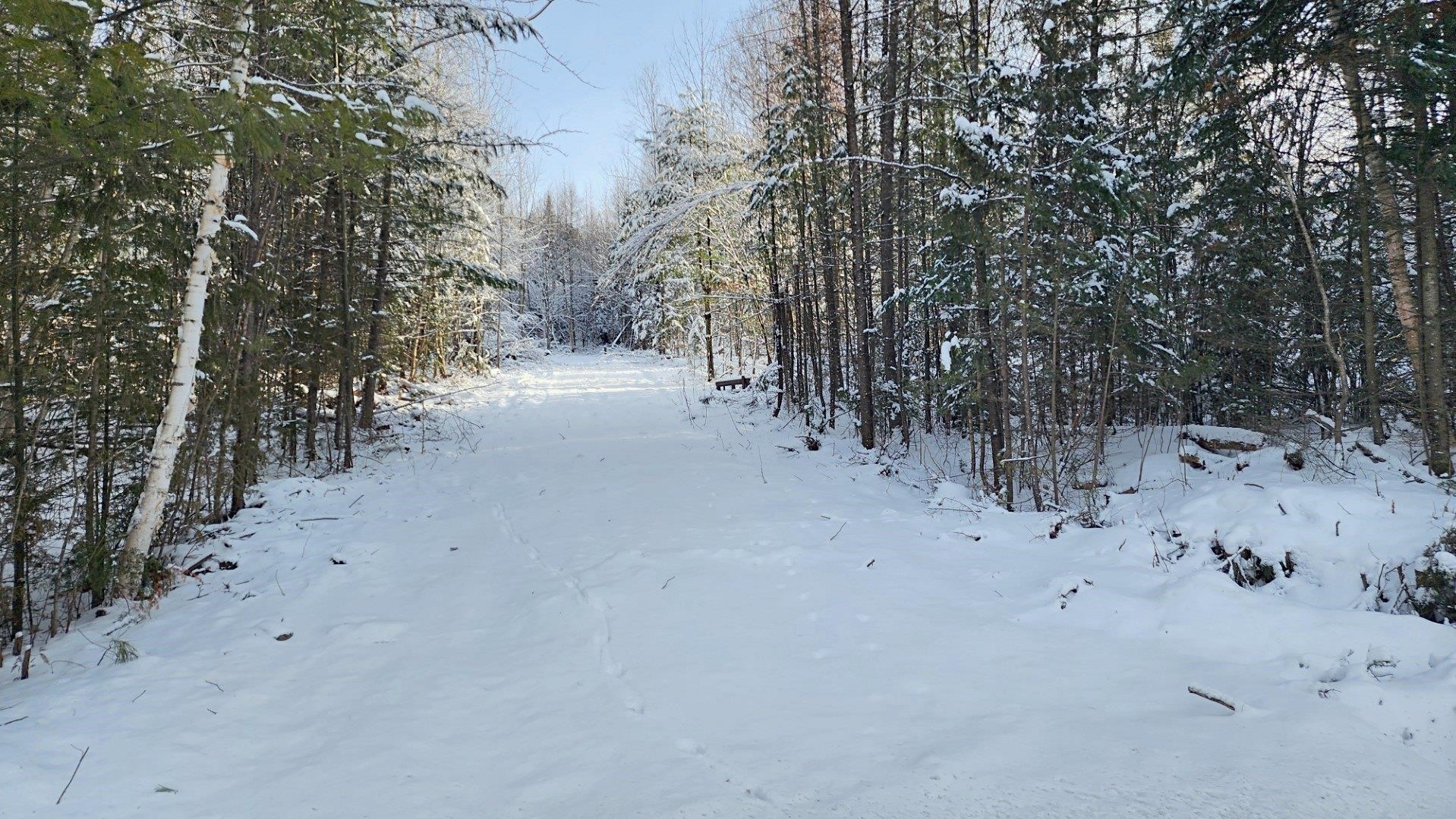 0 Pine Hill Road Newport, VT 05855 - Photo 1 of 11