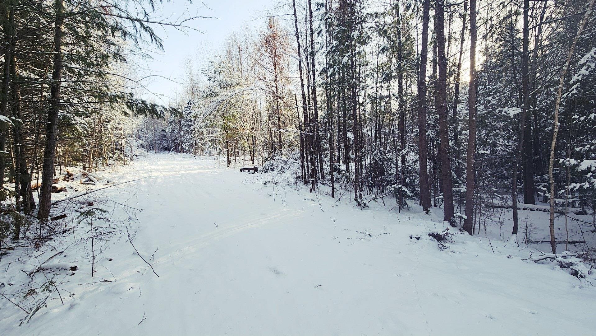 0 Pine Hill Road Newport, VT 05855 - Photo 2 of 11