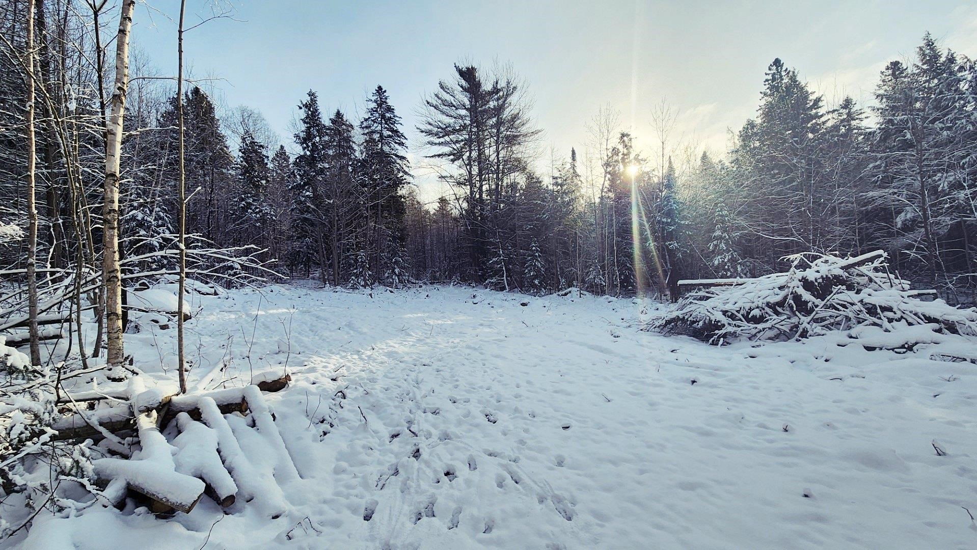 0 Pine Hill Road Newport, VT 05855 - Photo 6 of 11