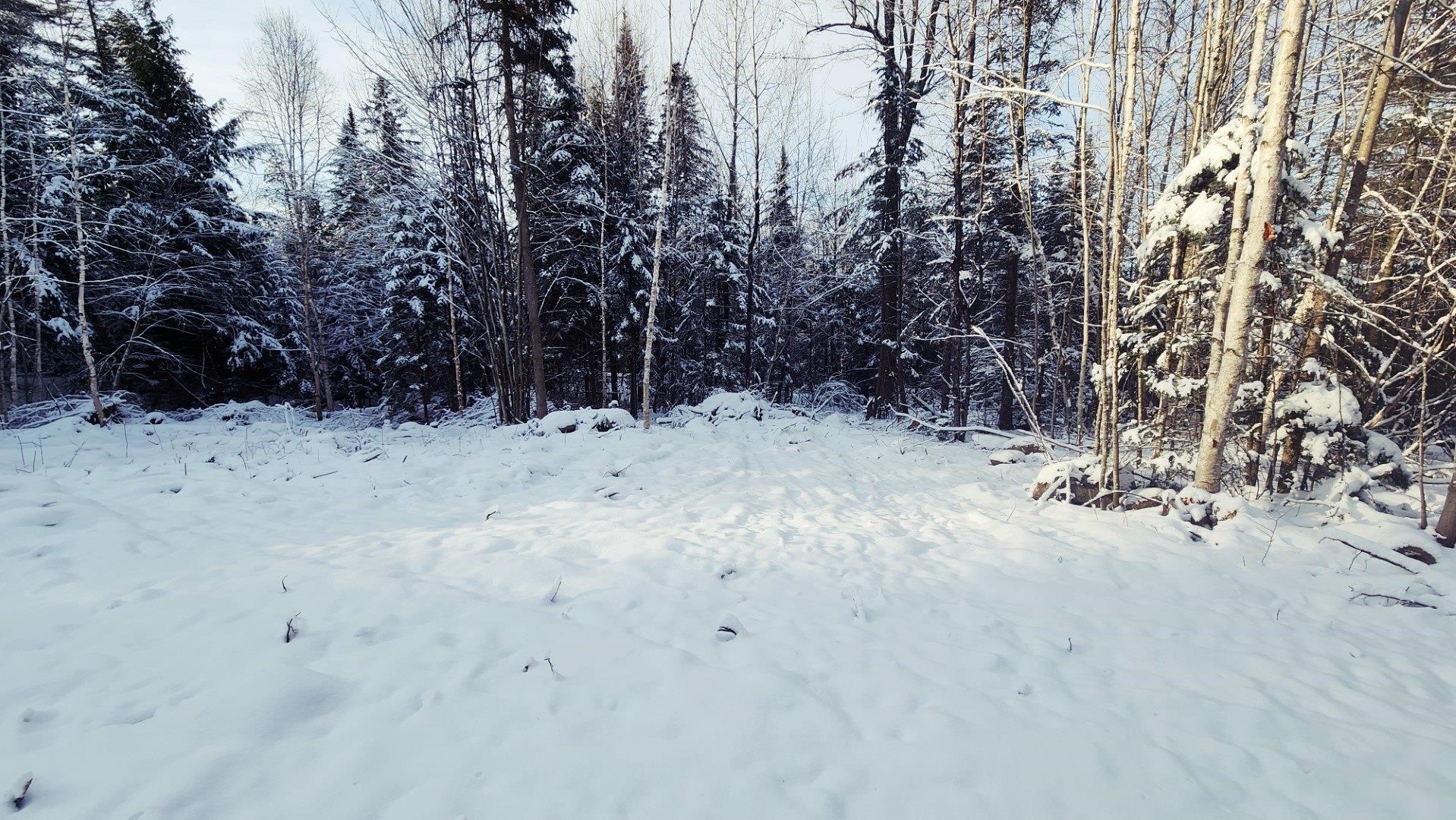 0 Pine Hill Road Newport, VT 05855 - Photo 7 of 11