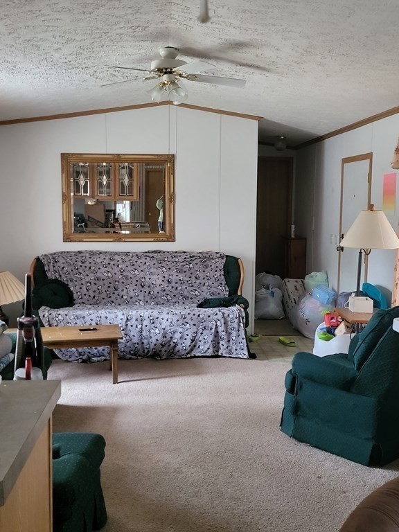 365 Main Street, Unit 2 Sturbridge, MA 01566 - Photo 10 of 24 a living room with furniture and a potted plant