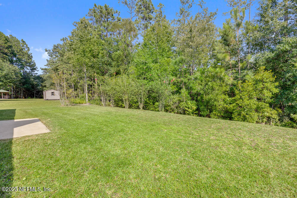 1399 Guardian Drive Jacksonville, FL 32221 - Photo 26 of 29 a view of a field with trees in the background