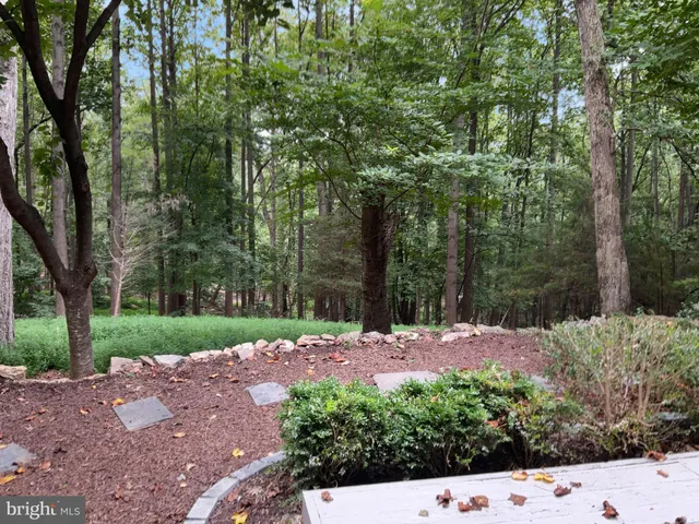 a view of a backyard with pathway