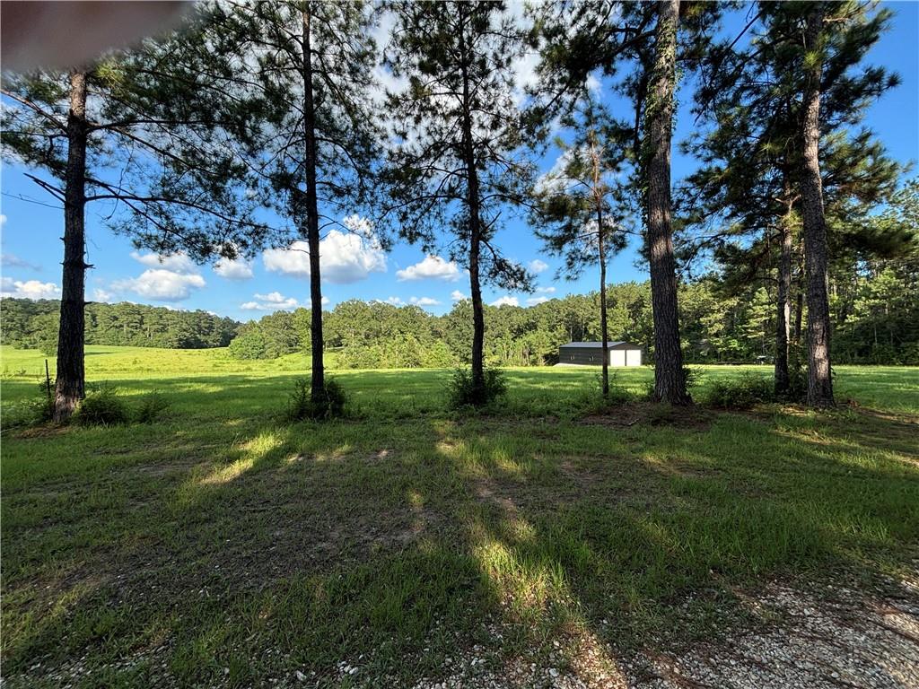 0 Yates Road Franklinton, LA 70438 - Photo 1 of 24