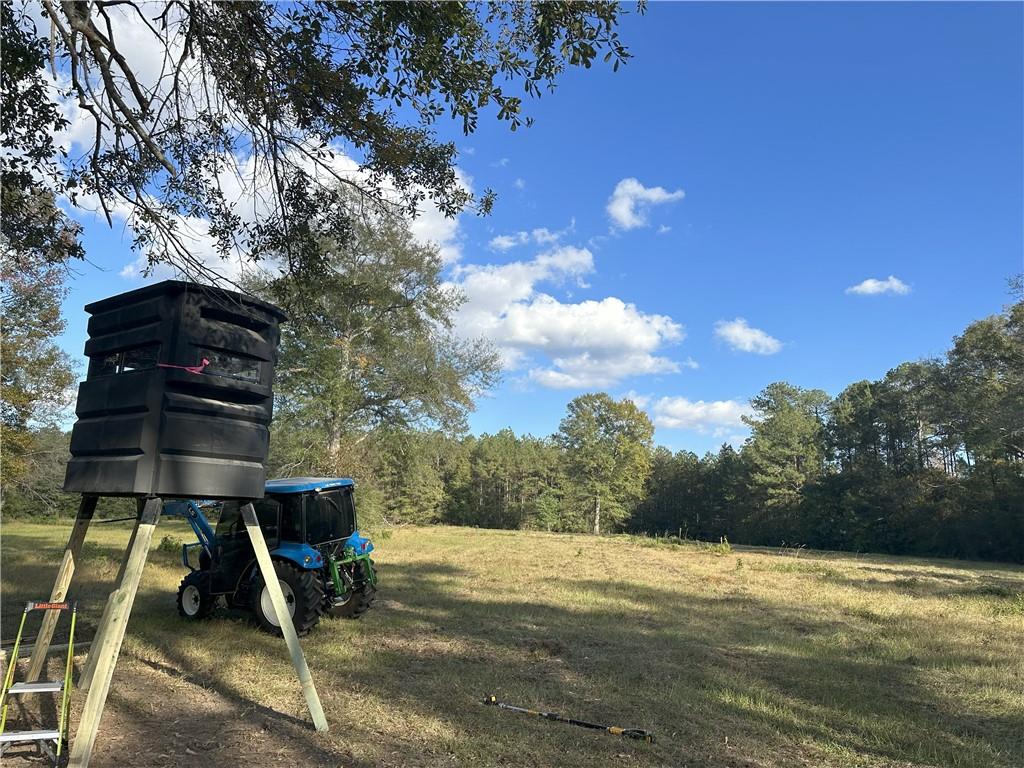 0 Yates Road Franklinton, LA 70438 - Photo 15 of 24