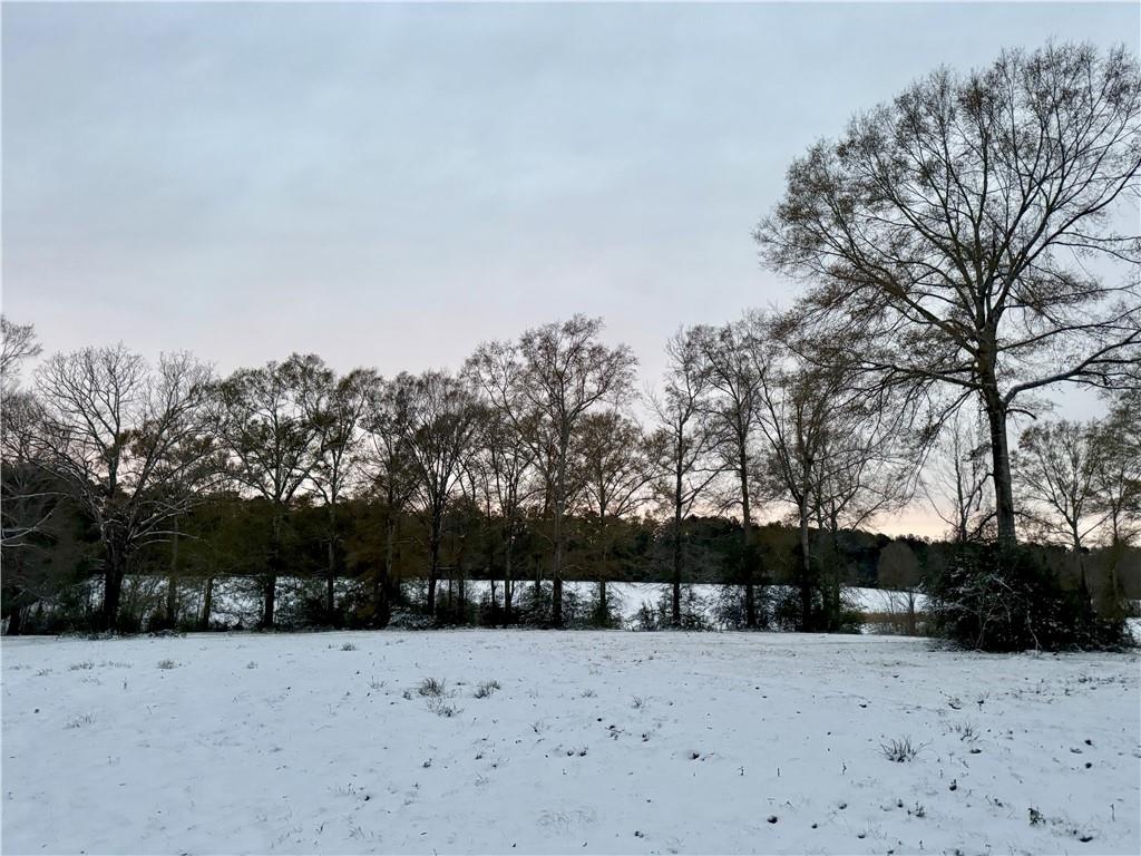 0 Yates Road Franklinton, LA 70438 - Photo 16 of 24