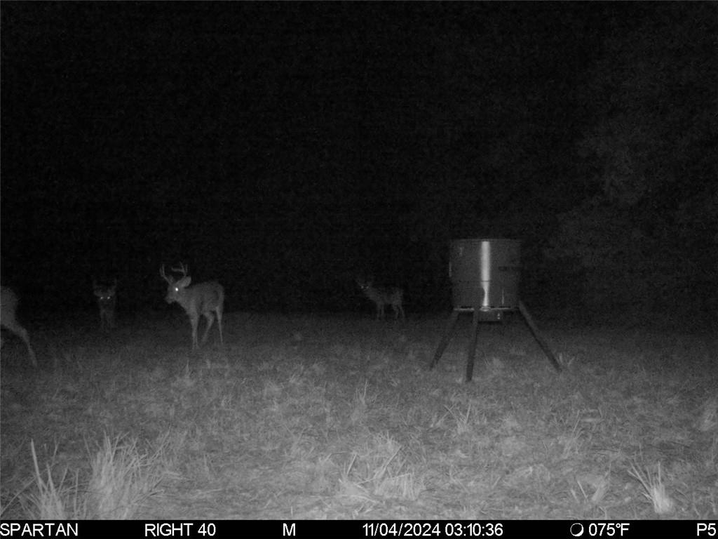 0 Yates Road Franklinton, LA 70438 - Photo 19 of 24