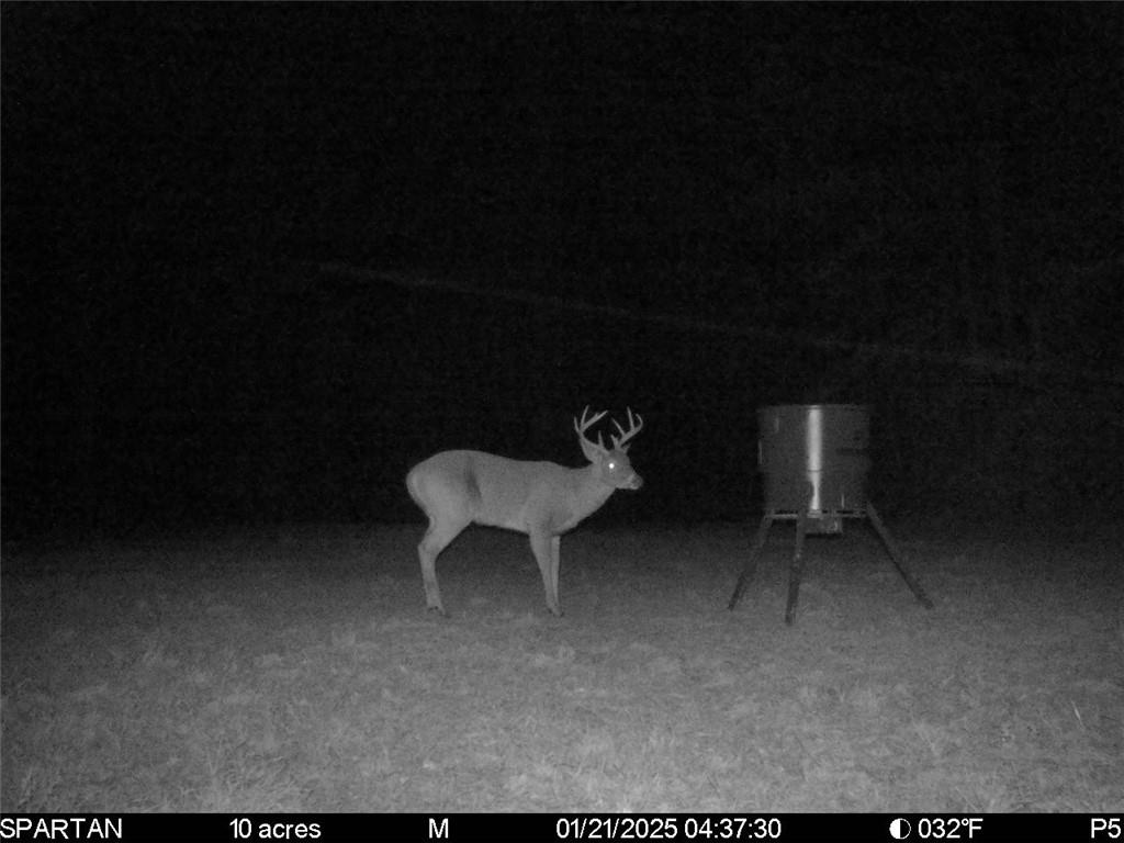 0 Yates Road Franklinton, LA 70438 - Photo 20 of 24