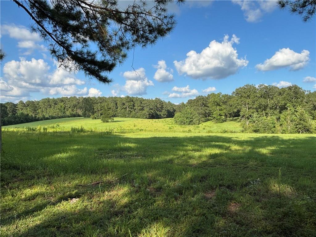 0 Yates Road Franklinton, LA 70438 - Photo 23 of 24