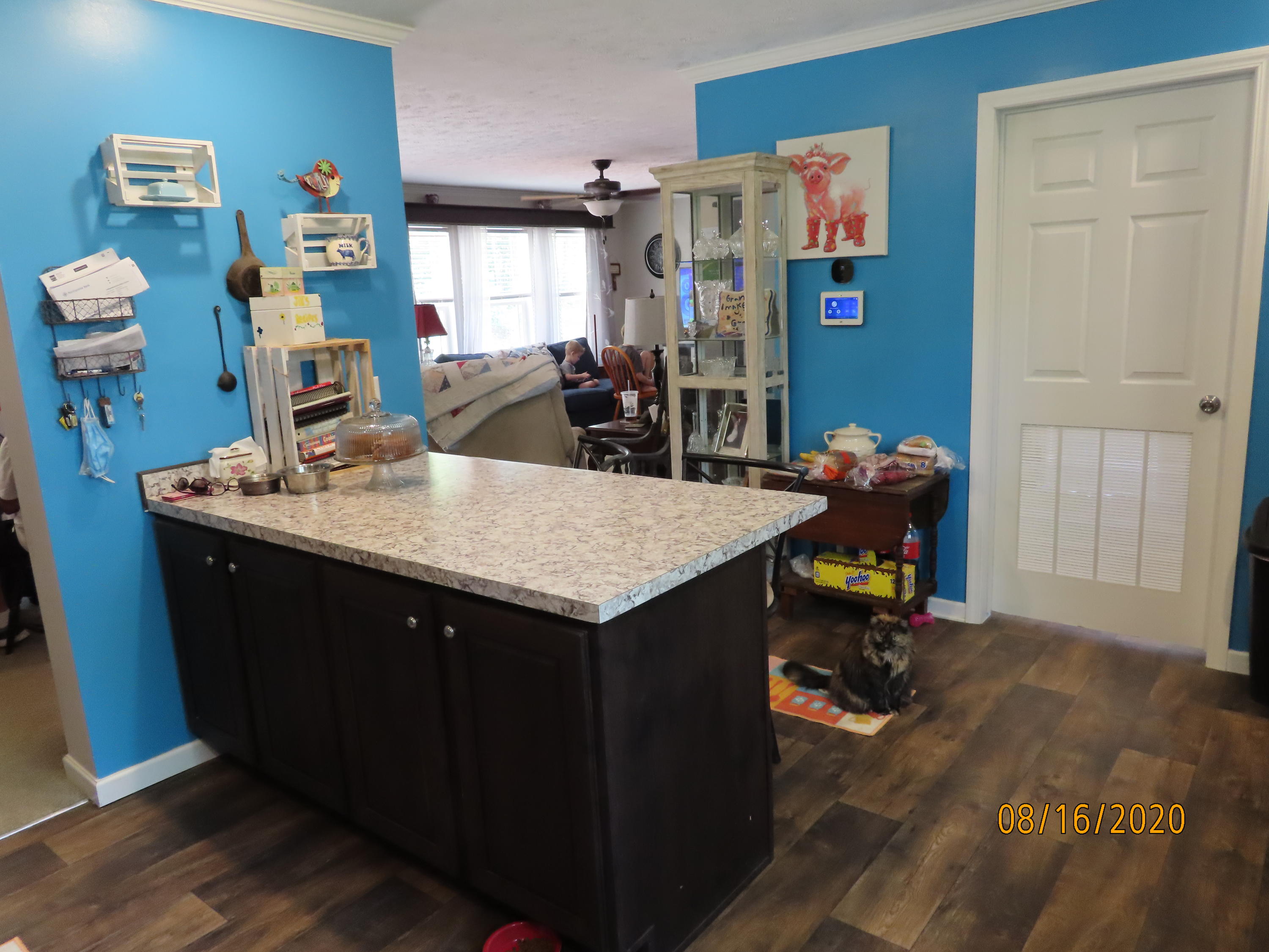 638 Johnson Road Kodak, TN 37764 - Photo 13 of 39 MORE COUNTER & CABINET SPACE