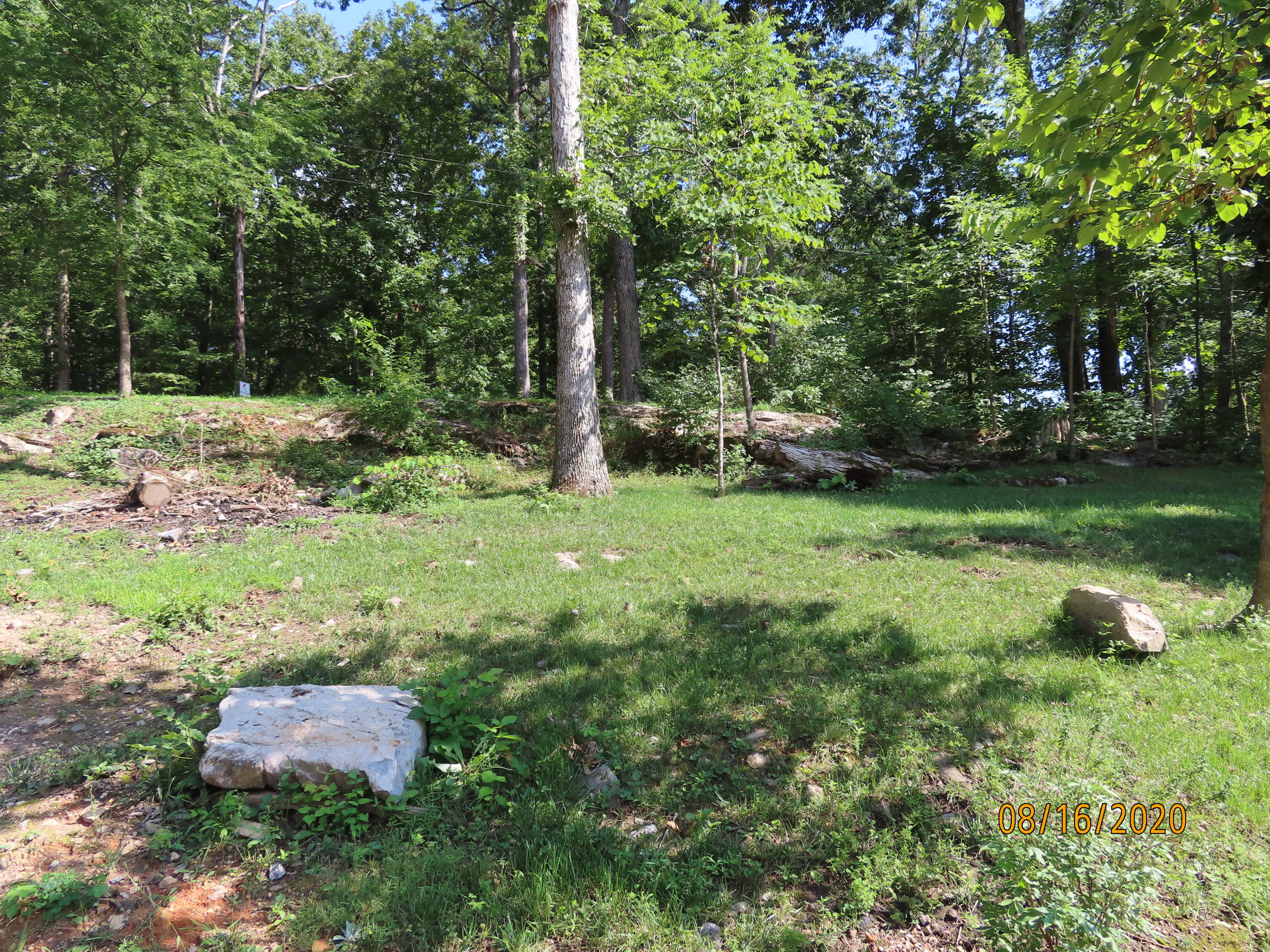 638 Johnson Road Kodak, TN 37764 - Photo 3 of 39 BEAUTY SURROUNDS THIS HOME