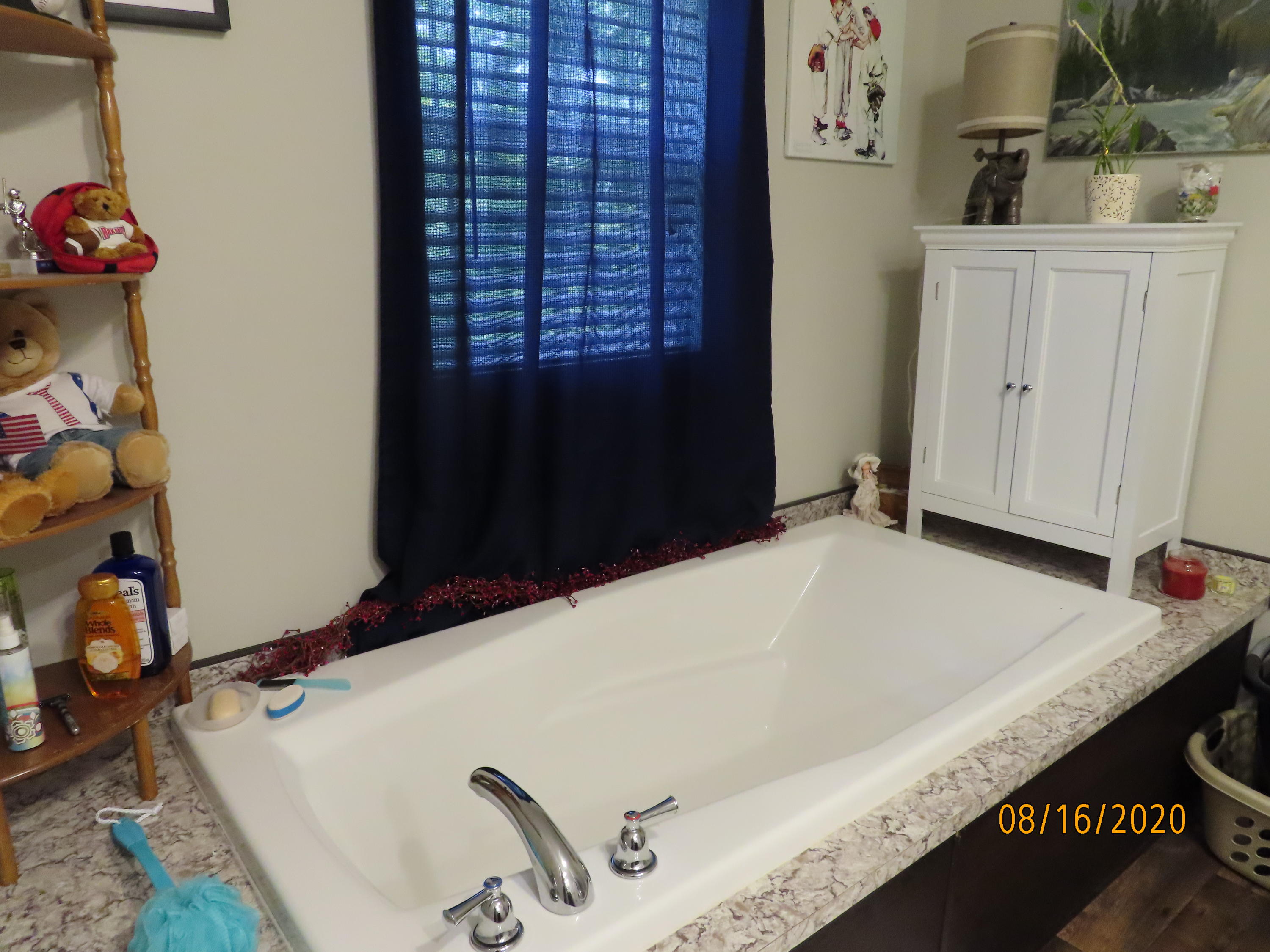 638 Johnson Road Kodak, TN 37764 - Photo 22 of 39 RELAX IN THE TUB