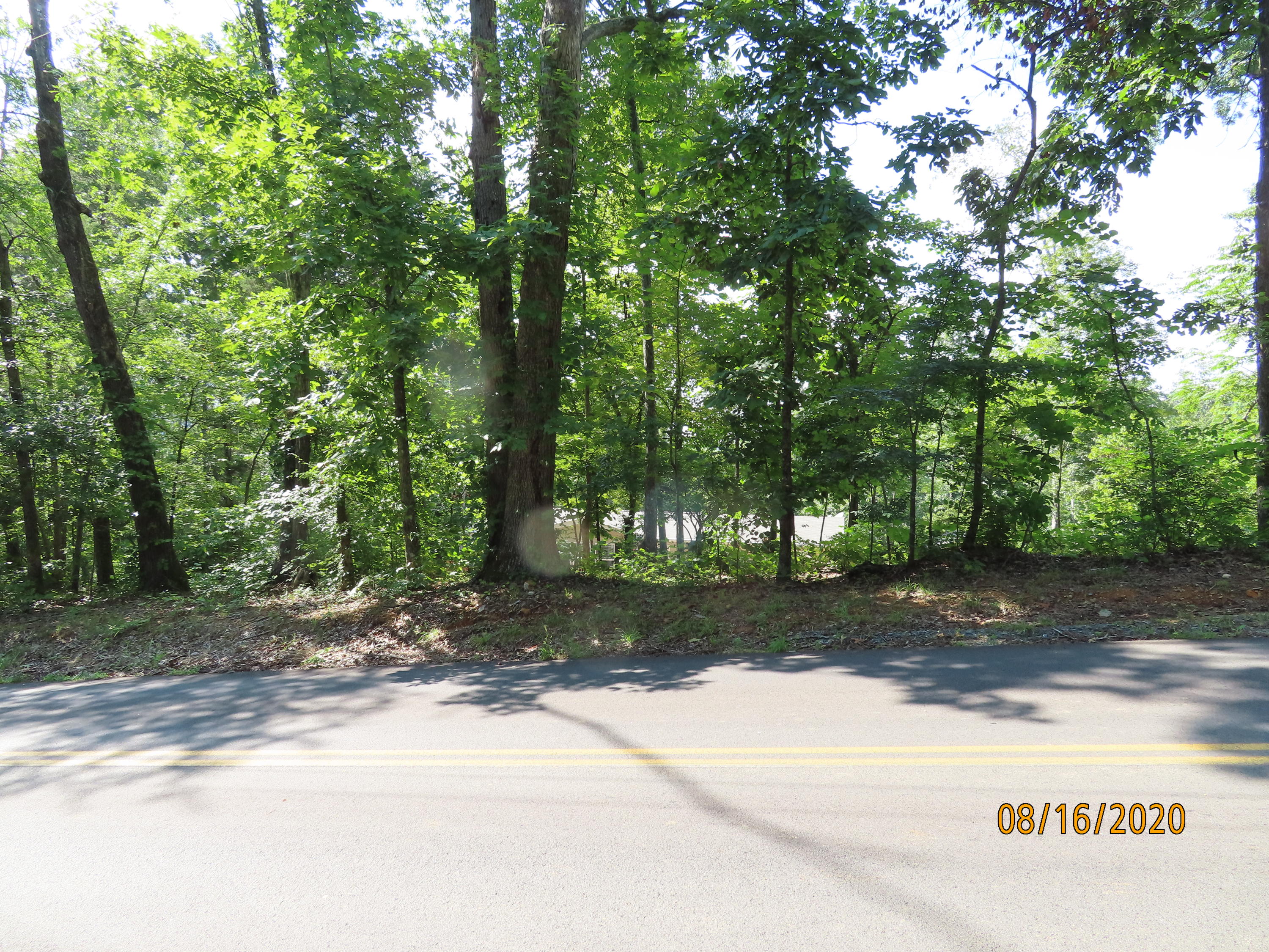 638 Johnson Road Kodak, TN 37764 - Photo 37 of 39 BEAUTIFUL LAND