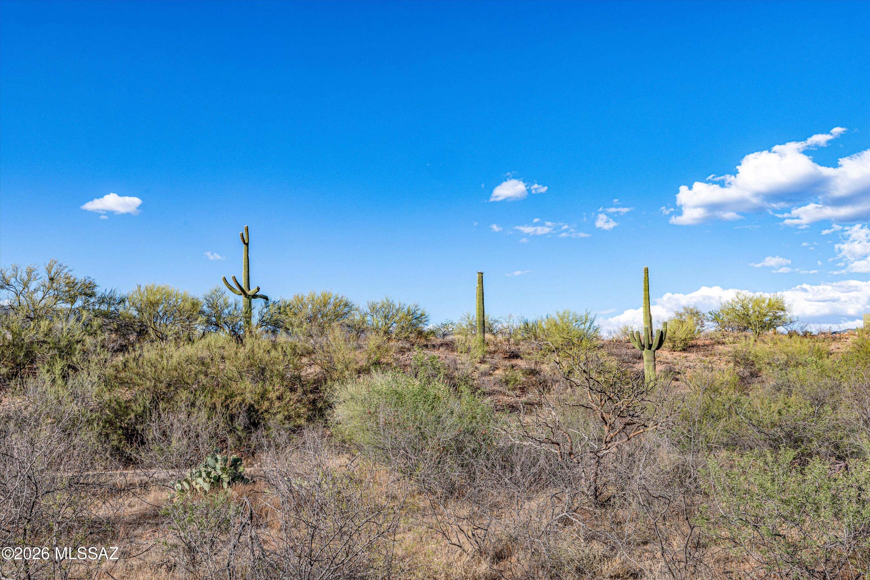 14555 East Rider Rdg Place, Unit L398 Vail, AZ 85641 - Photo 5 of 40 405 custom homesites