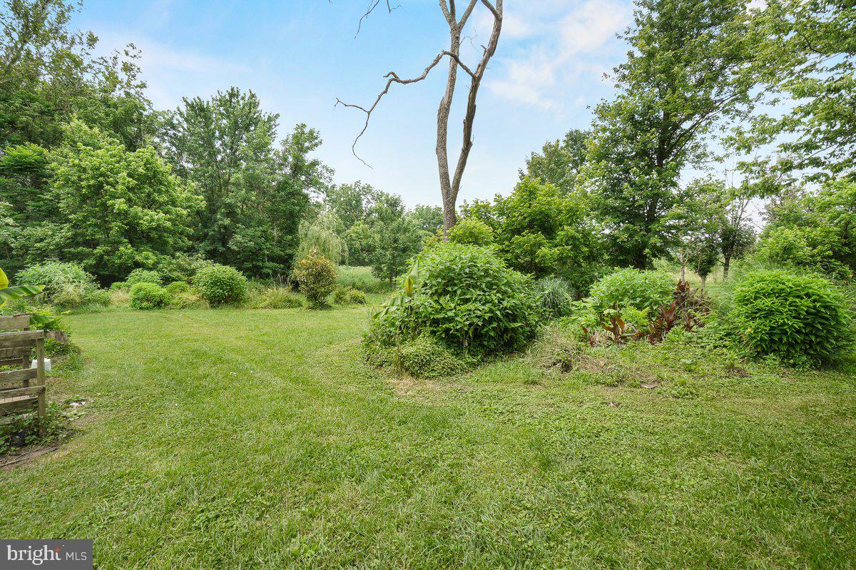 1498 Mckinstrys Mill Road Union Bridge, MD 21791 - Photo 52 of 54 a view of a yard with a tree