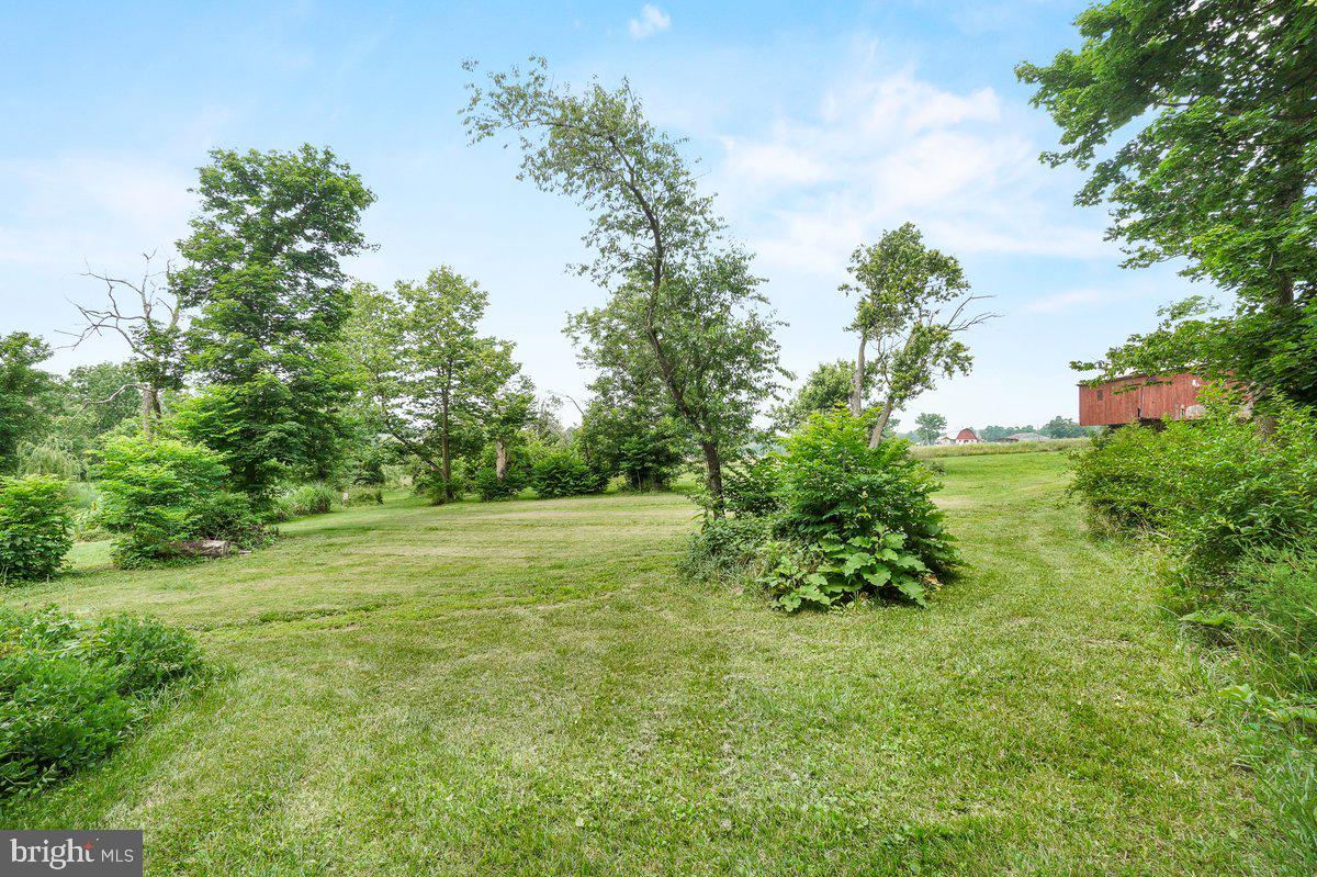 1498 Mckinstrys Mill Road Union Bridge, MD 21791 - Photo 53 of 54 a view of a garden with a tree