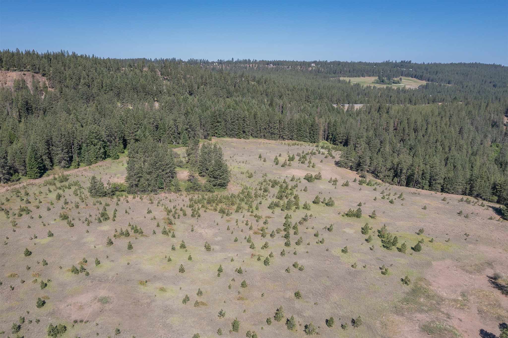 9412 South Hangman Valley Road Spokane, WA 99224 - Photo 36 of 45 Gallery Image 36
