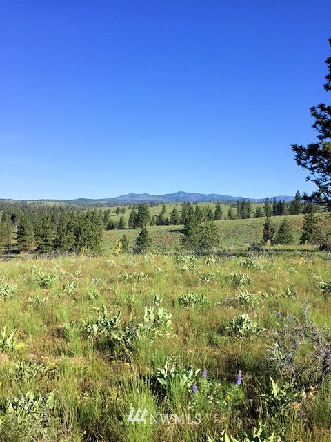0 Evergreen Camp Road, Unit LOT 6 Chelan, WA 98816 - Photo 1 of 4 Gallery Image 1