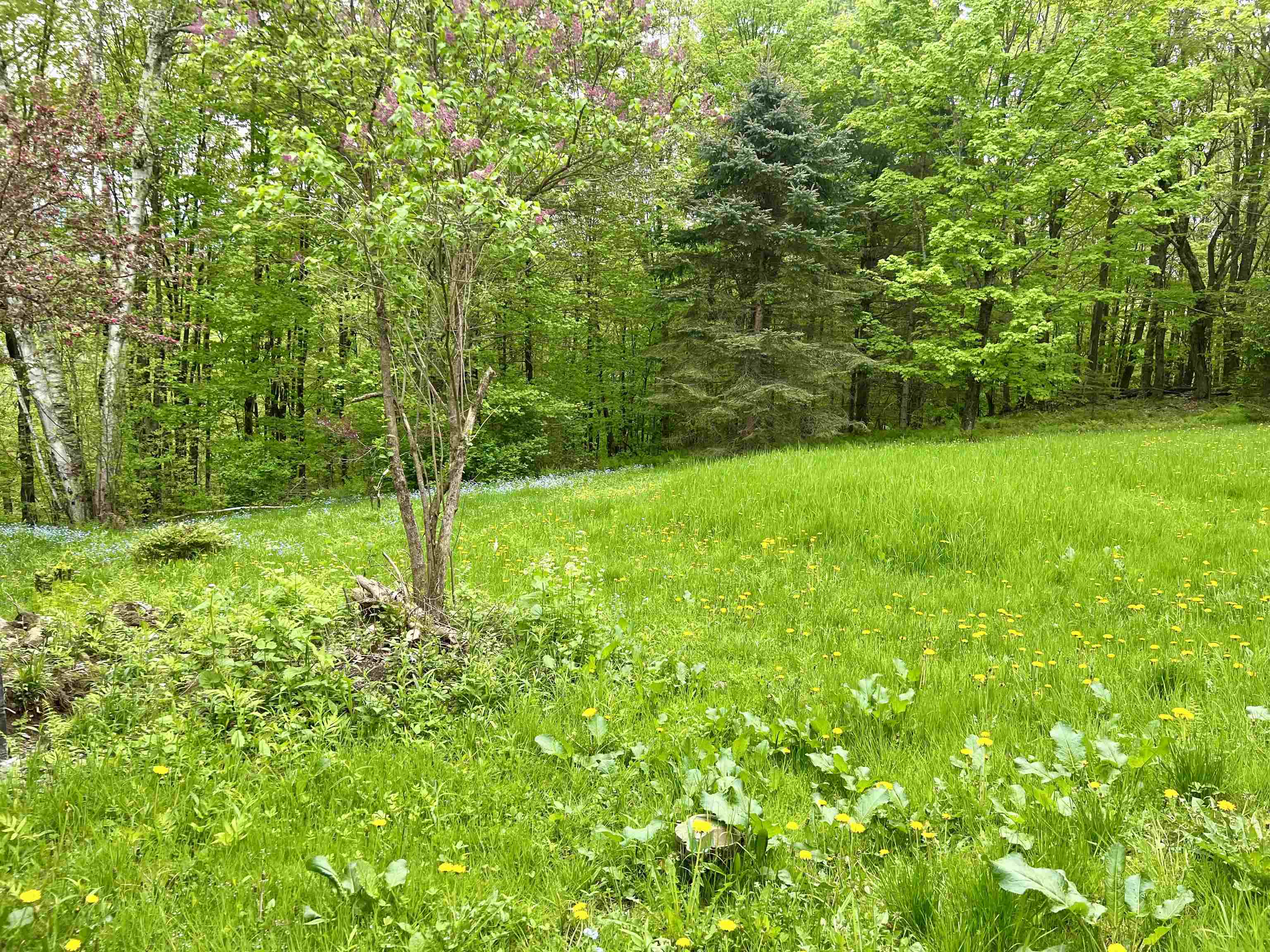 963 Colby Hill Road Lincoln, VT 05443 - Photo 22 of 35