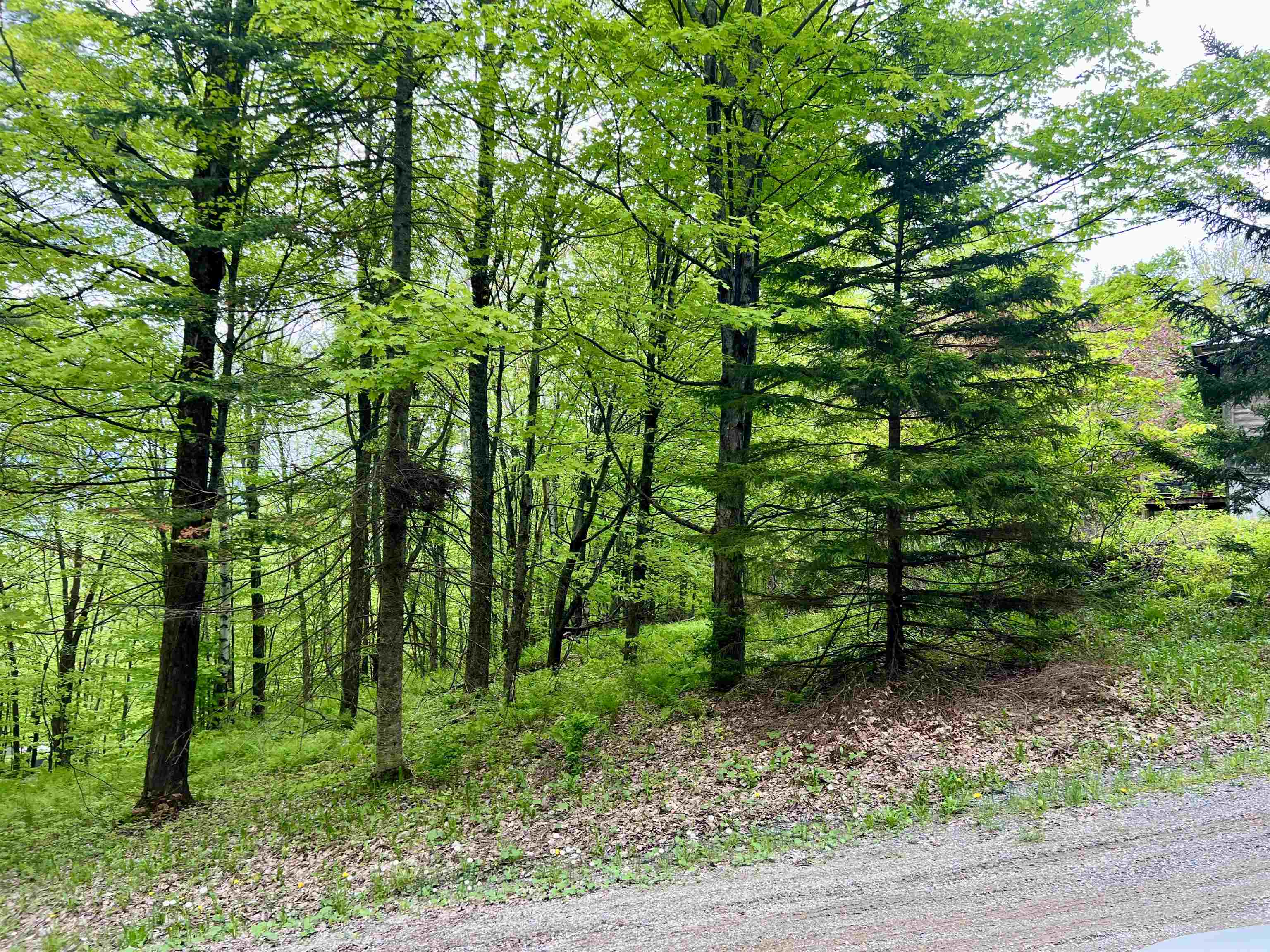 963 Colby Hill Road Lincoln, VT 05443 - Photo 5 of 35