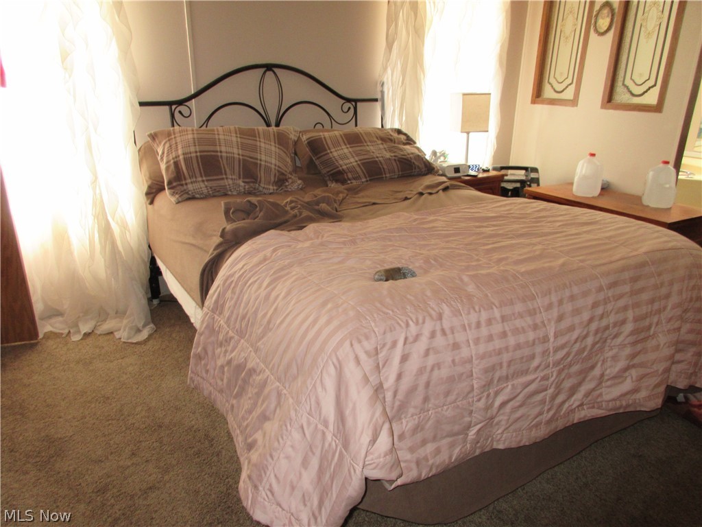 4546 Pymatuning Lake Road Andover, OH 44003 - Photo 9 of 13